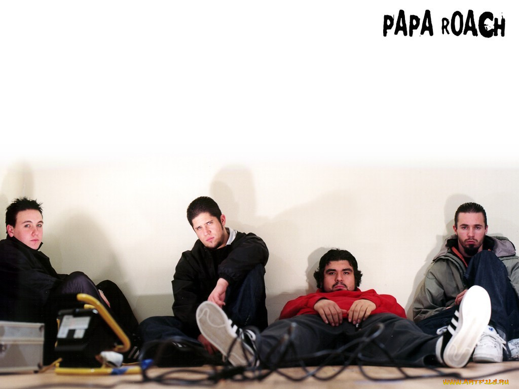 , papa, roach